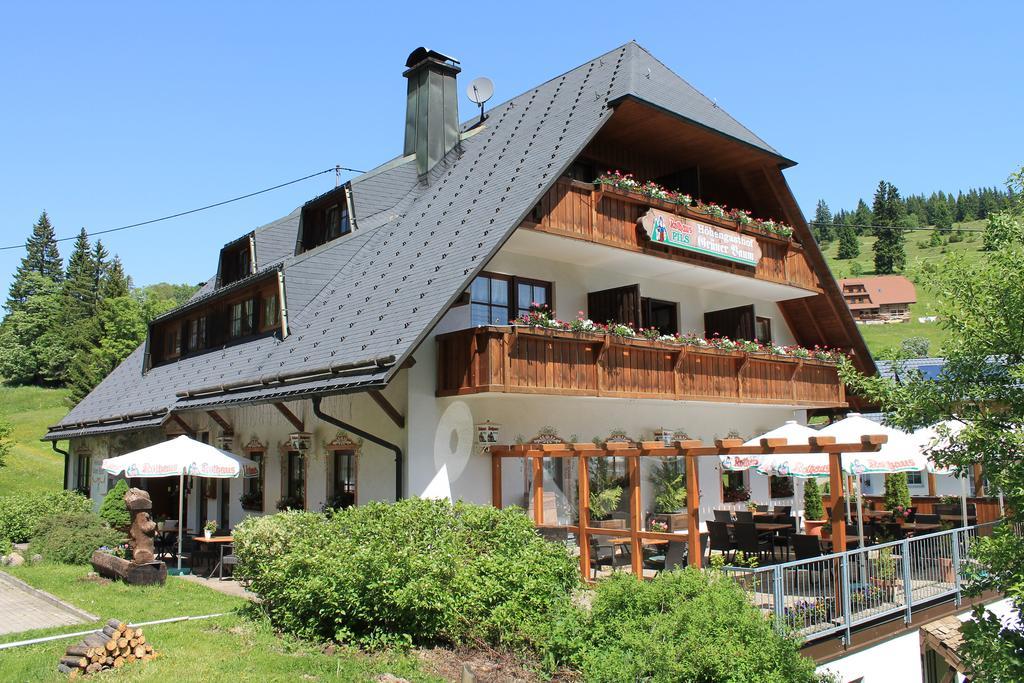 Hotel & Restaurant Gruener Baum - Die Gruene Oase Am Feldberg Feldberg  Eksteriør billede
